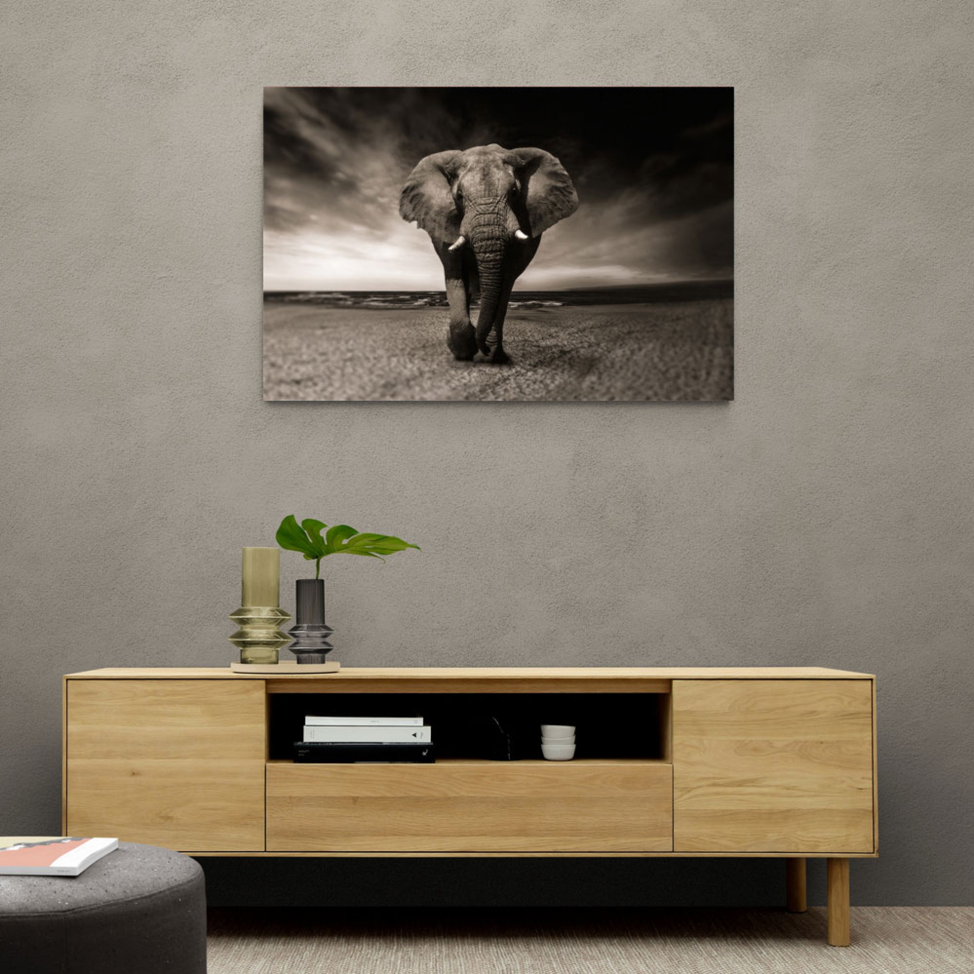 Elephant Wall Art