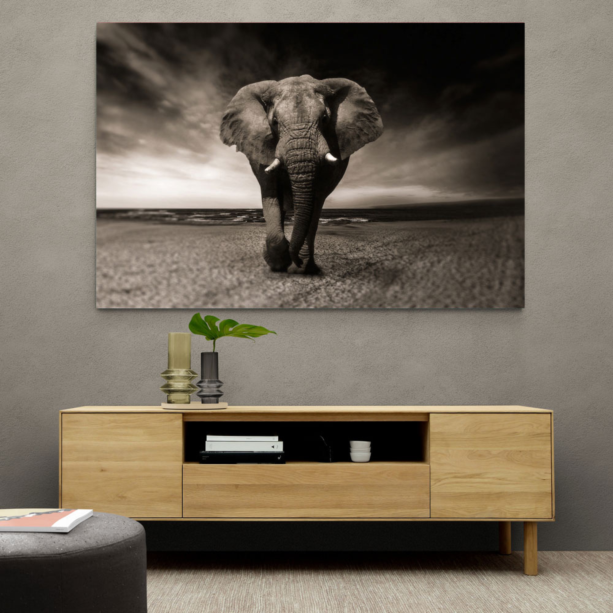 Elephant Wall Art