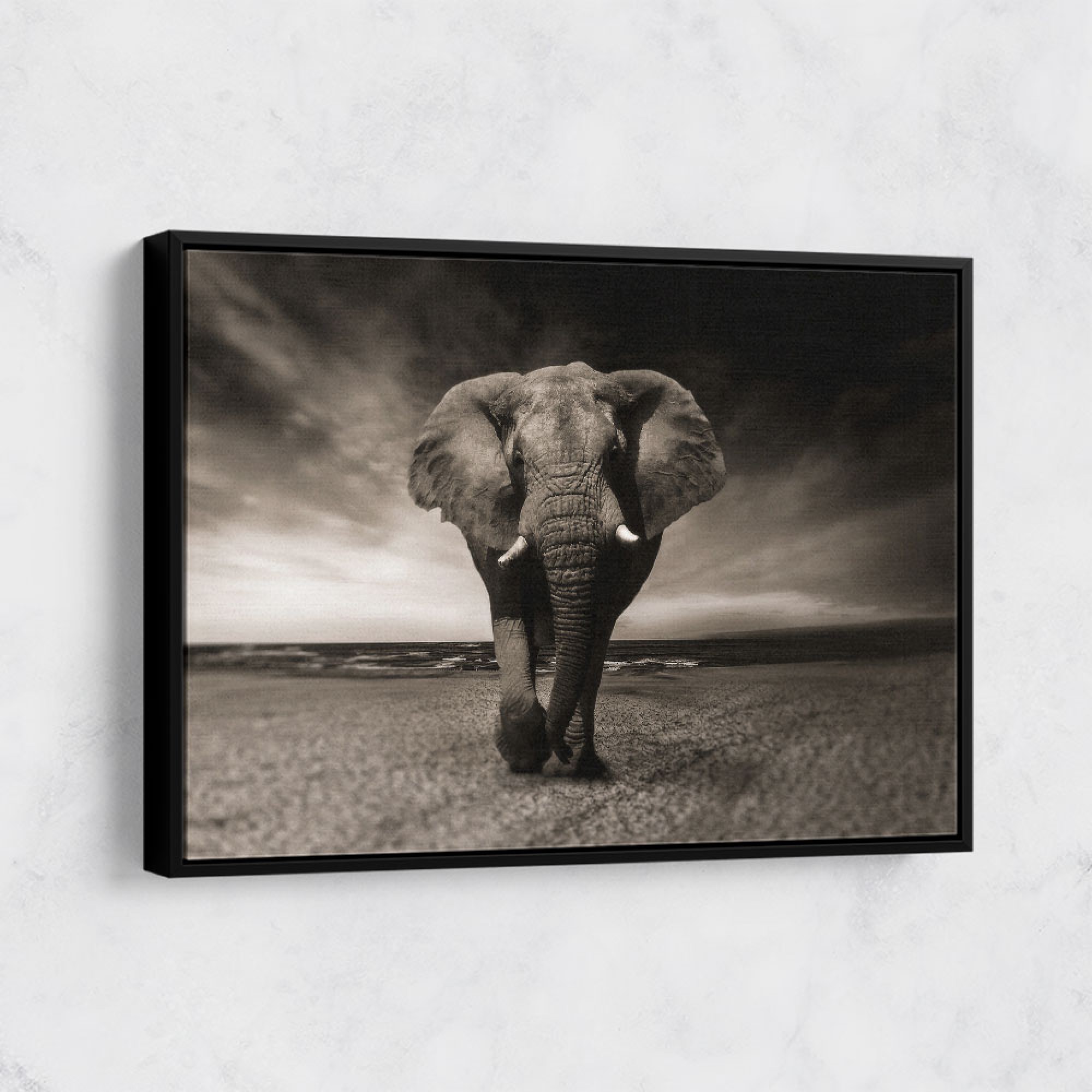 Elephant Wall Art