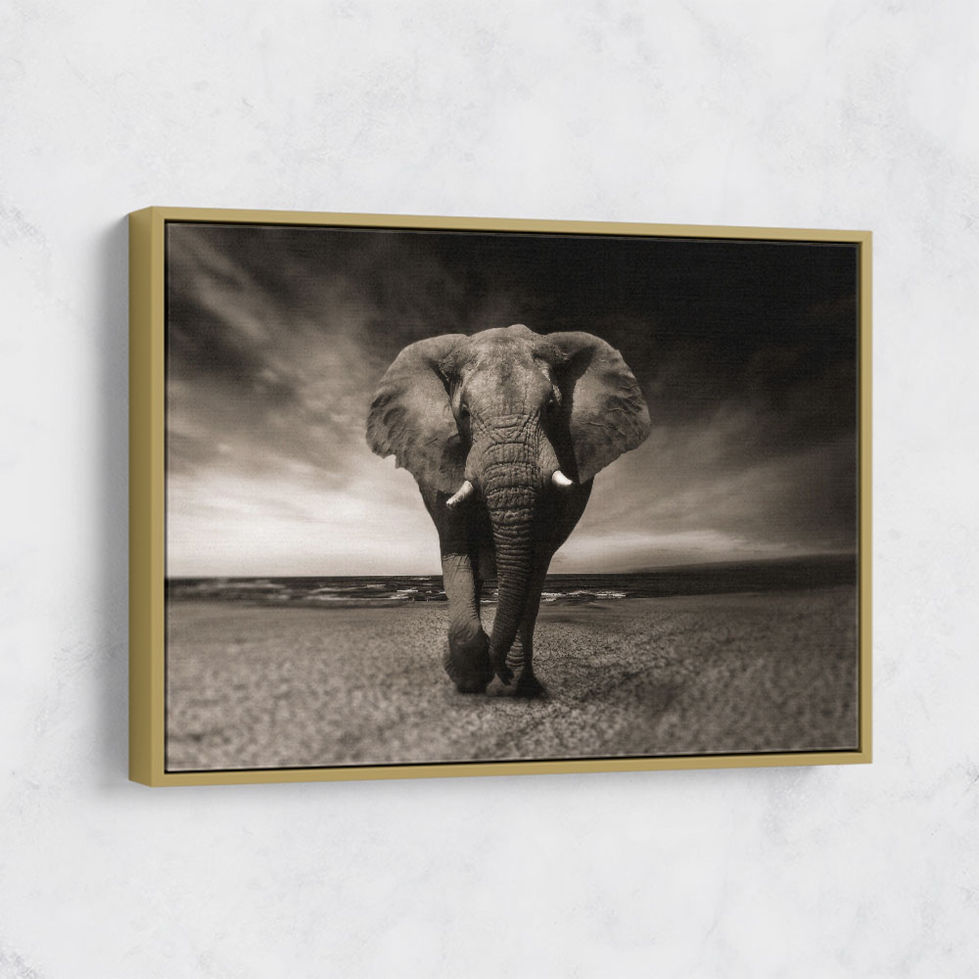 Elephant Wall Art