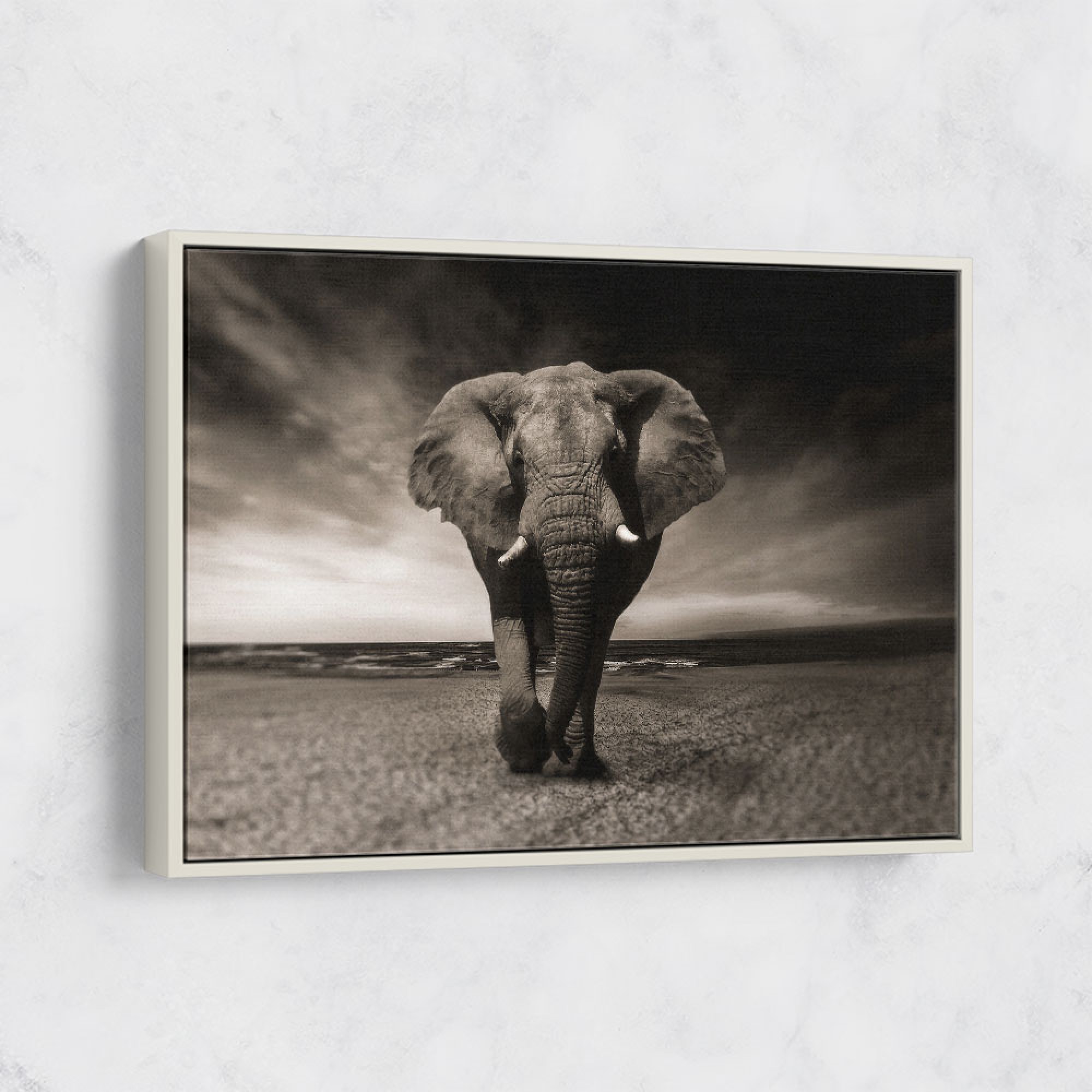 Elephant Wall Art