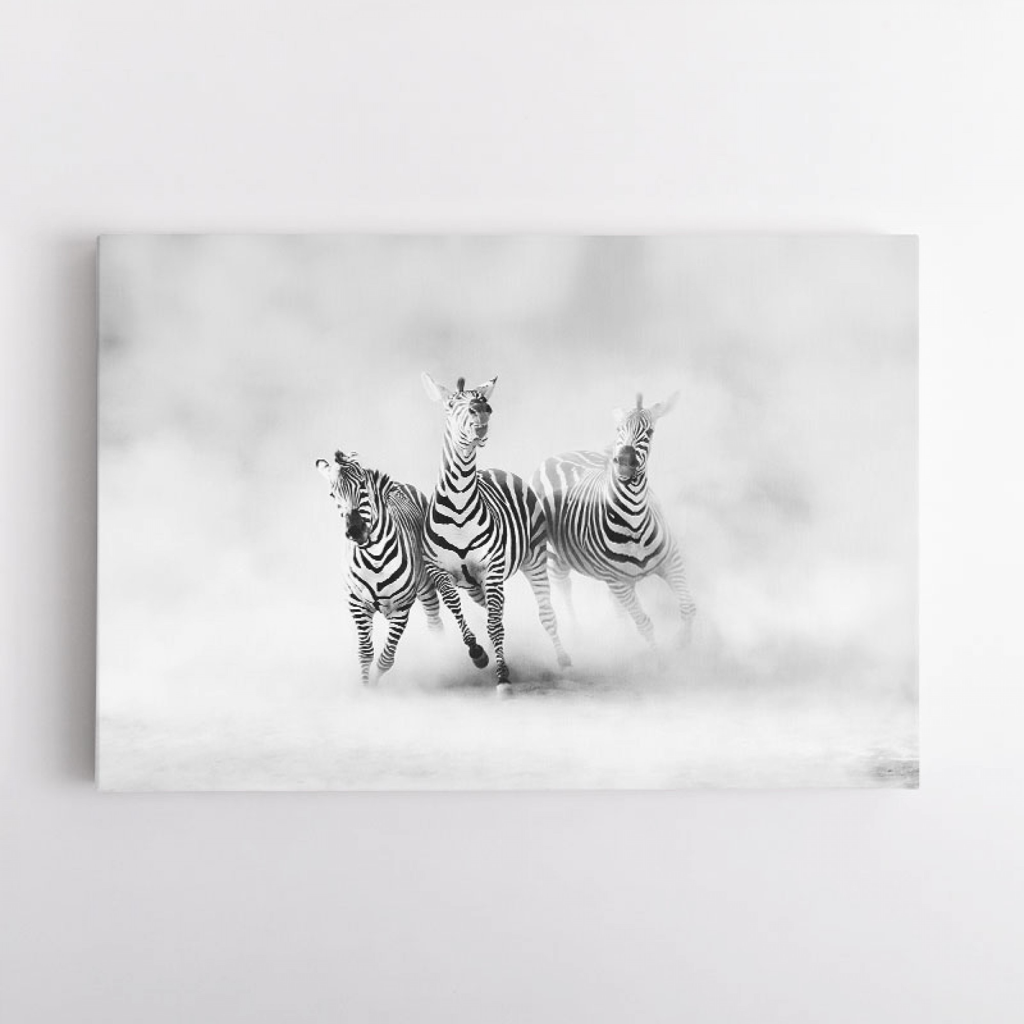 Zebras Wall Art