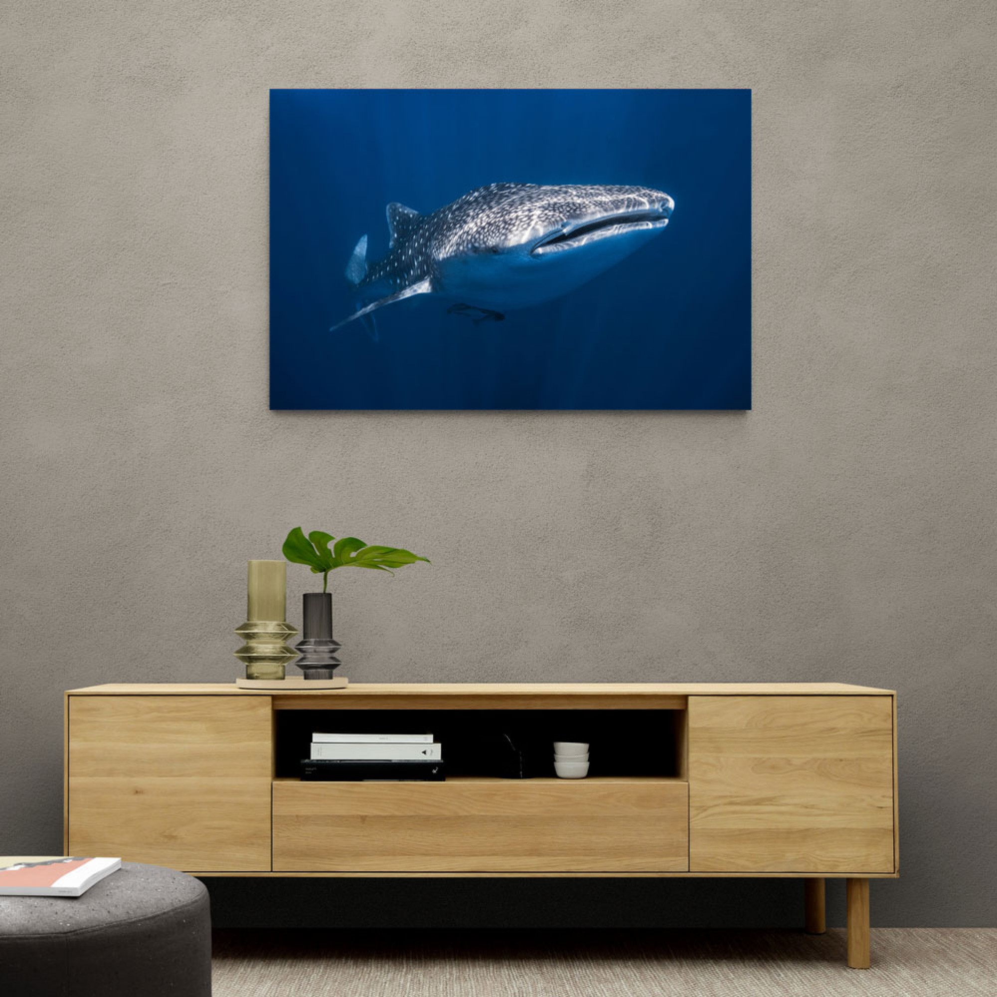 Whale Shark Wall Art