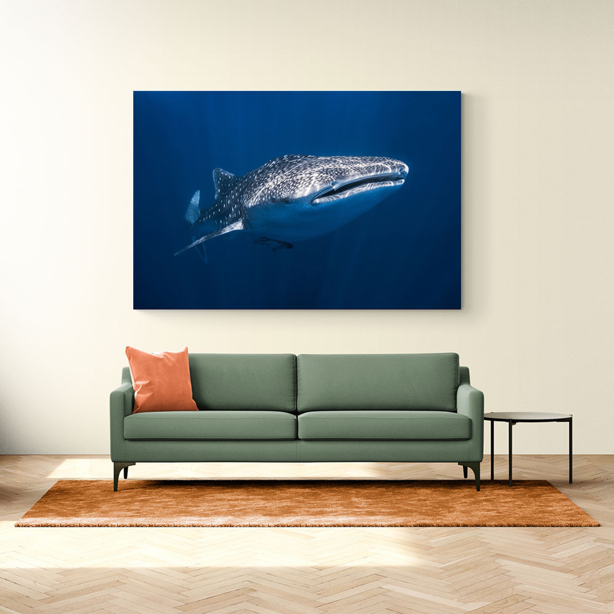 Whale Shark Wall Art