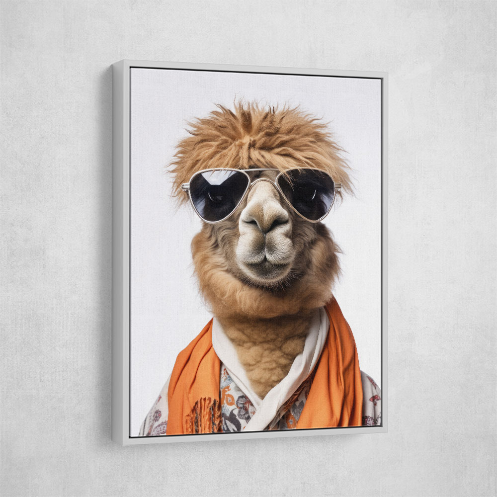 Cool Camel in Sunglasses