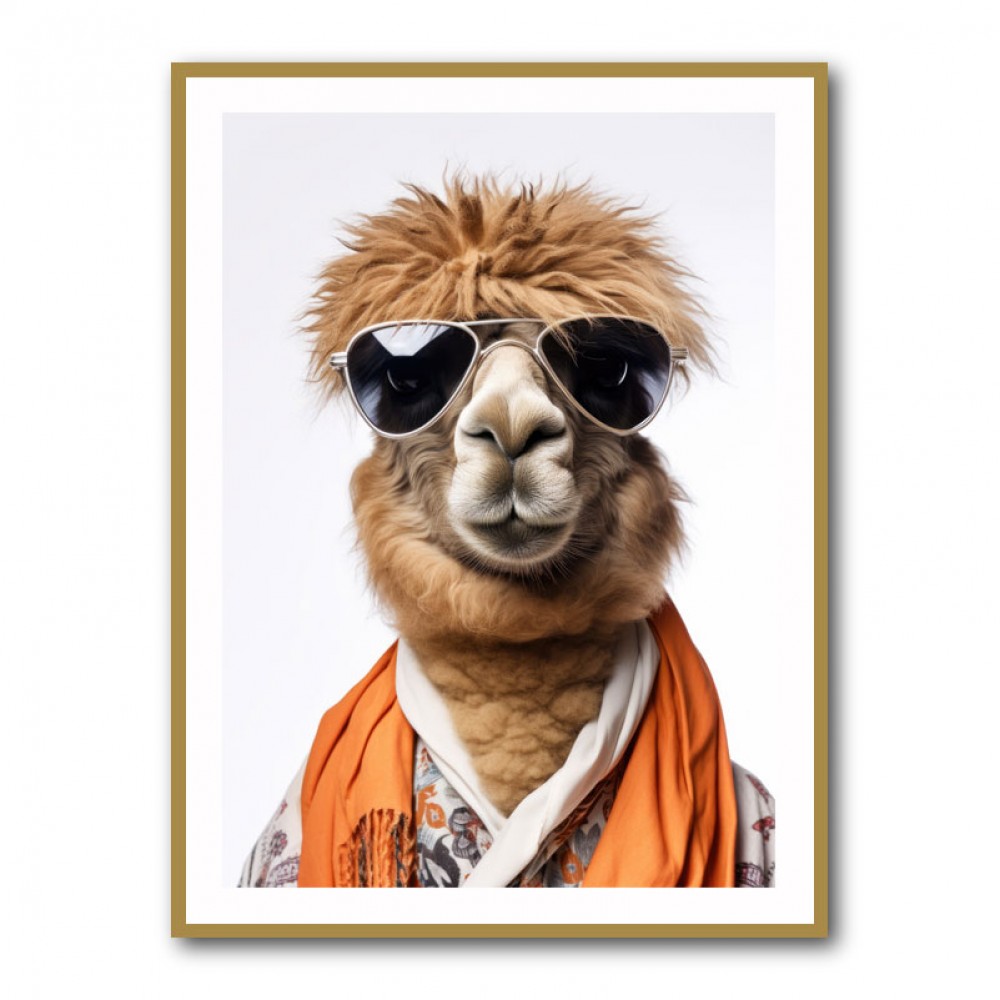 Cool Camel in Sunglasses