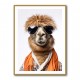 Cool Camel in Sunglasses