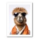 Cool Camel in Sunglasses