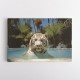 White Tiger Swimming Wall Art