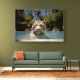 White Tiger Swimming Wall Art