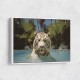 White Tiger Swimming Wall Art