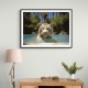 White Tiger Swimming Wall Art