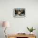 White Tiger Swimming Wall Art