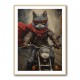 Biker Superhero Cat