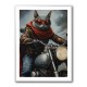 Biker Superhero Cat 2