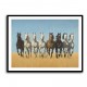 Galloping Arabian Horses