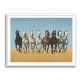 Galloping Arabian Horses