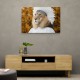 Lion Feathers 2 Wall Art