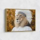 Lion Feathers 2 Wall Art