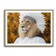 Lion Feathers 2 Wall Art