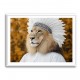 Lion Feathers 2 Wall Art