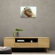 Ghutra Lion Wall Art