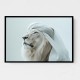 Ghutra White Lion Wall Art