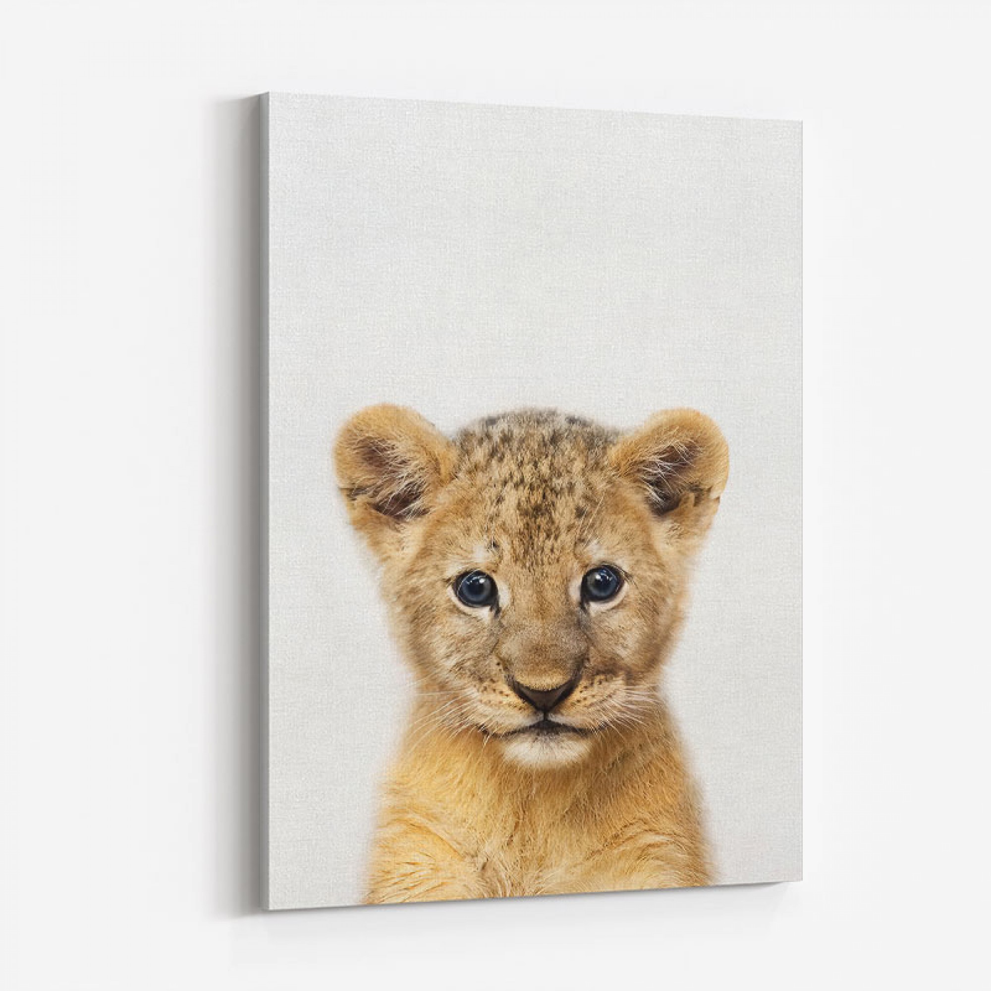 Baby Lion Wall Art