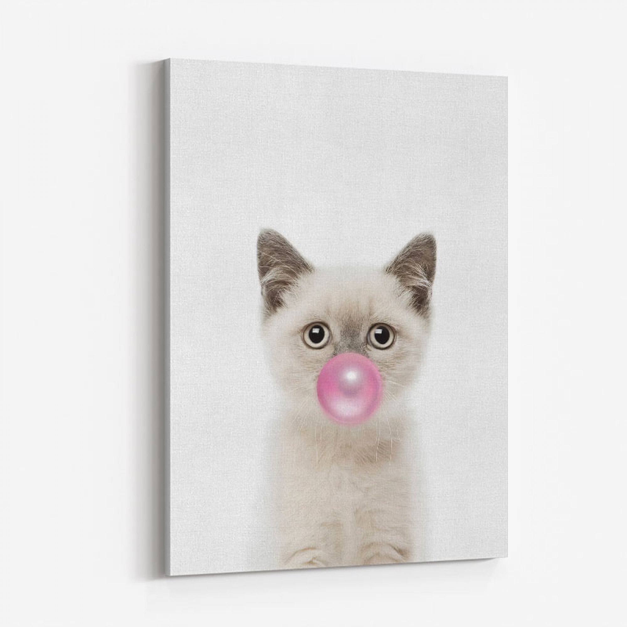 Kitten Bubble Gum Wall Art