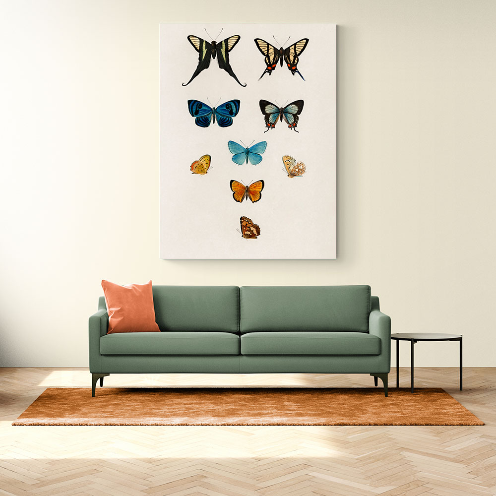 Vintage Butterflies