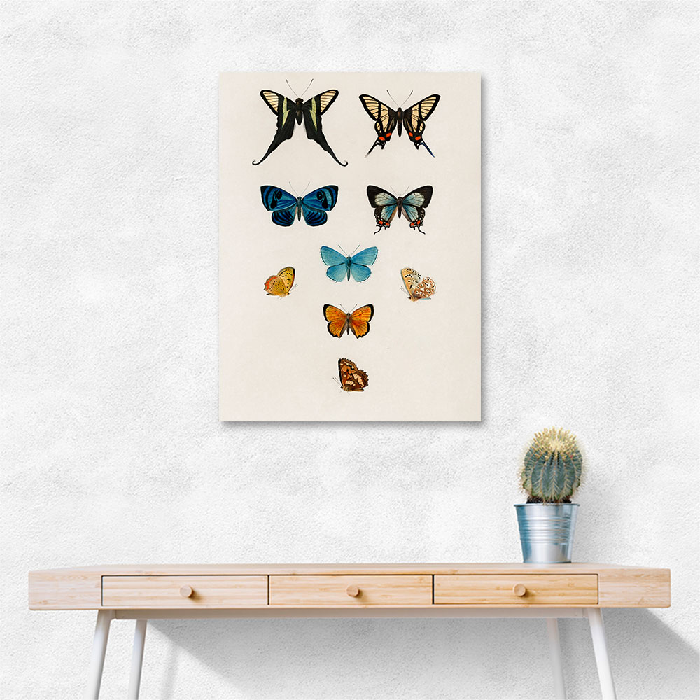 Vintage Butterflies