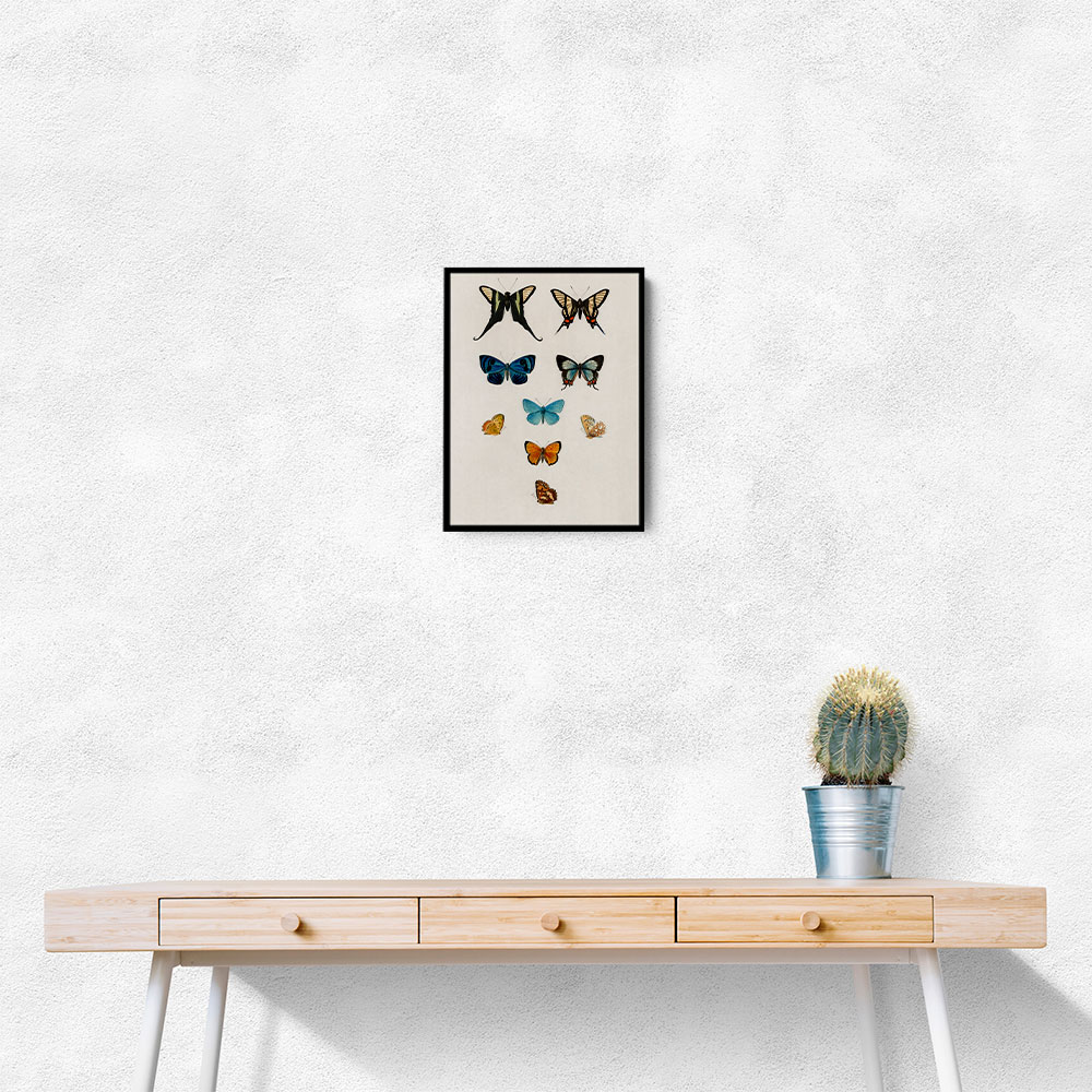 Vintage Butterflies