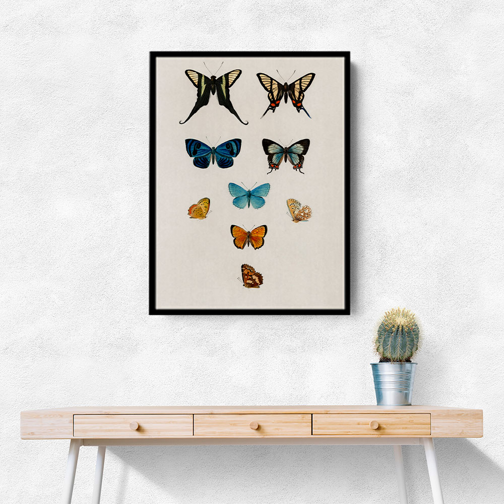 Vintage Butterflies