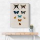 Vintage Butterflies