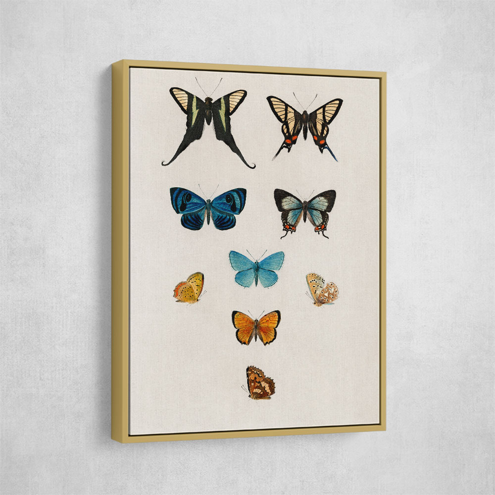 Vintage Butterflies