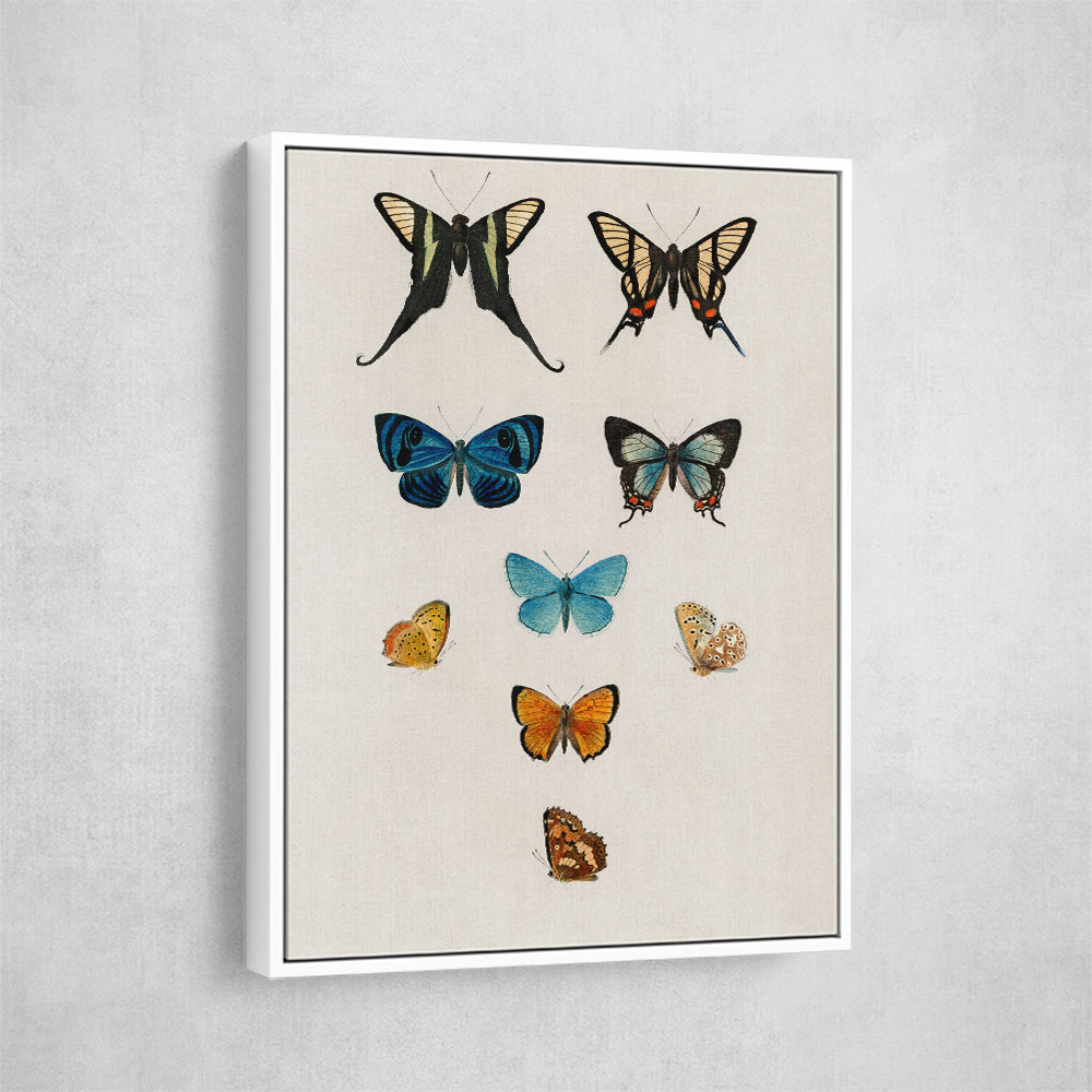 Vintage Butterflies