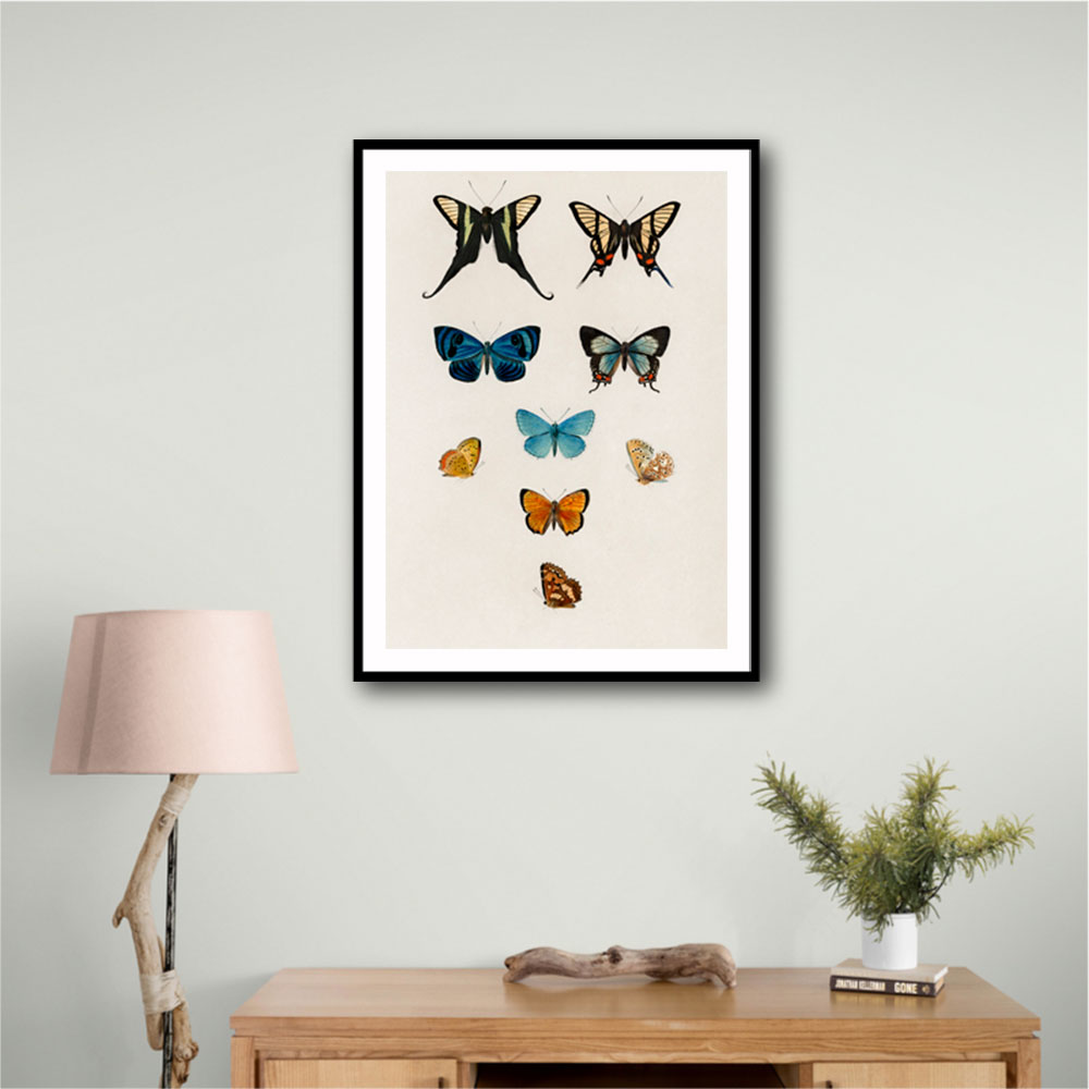 Vintage Butterflies