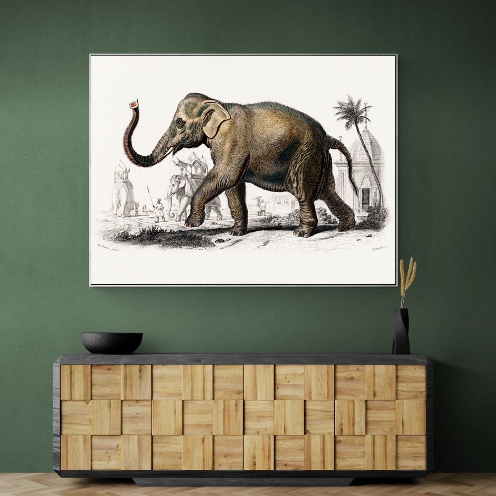 Vintage Art Elephant Wall
