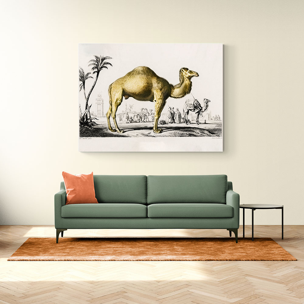 Vintage Camel