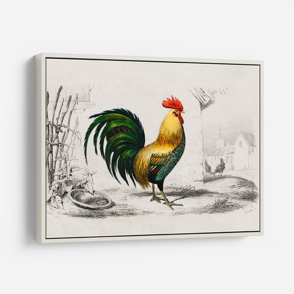Vintage Cockerel