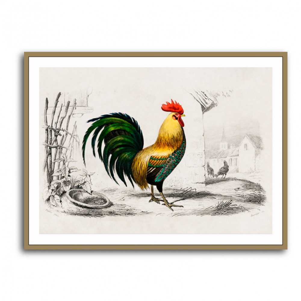 Vintage Cockerel