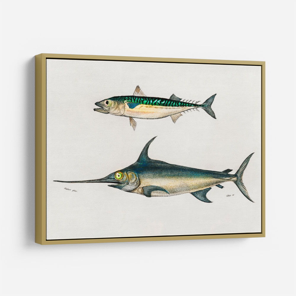 Vintage Fishes