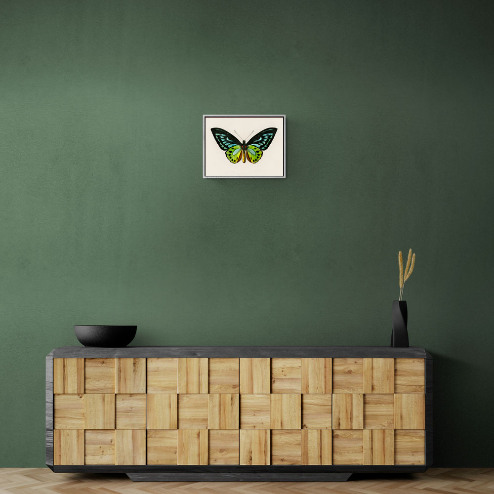 Vintage Green Birdwing