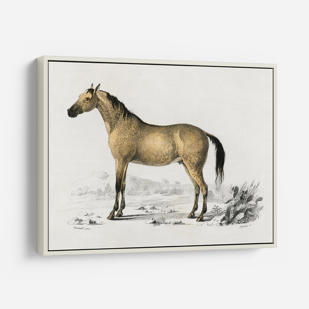 Vintage Horse Framed