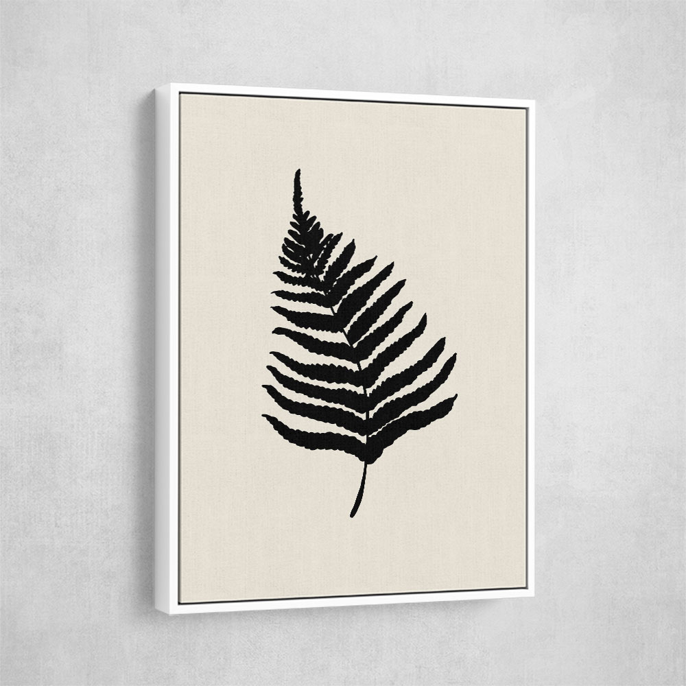 Fern