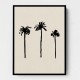 Palm Trees