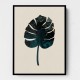 Monstera Marble Green