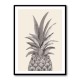 Ink Pineapple