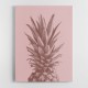 Pinapple Pink 05