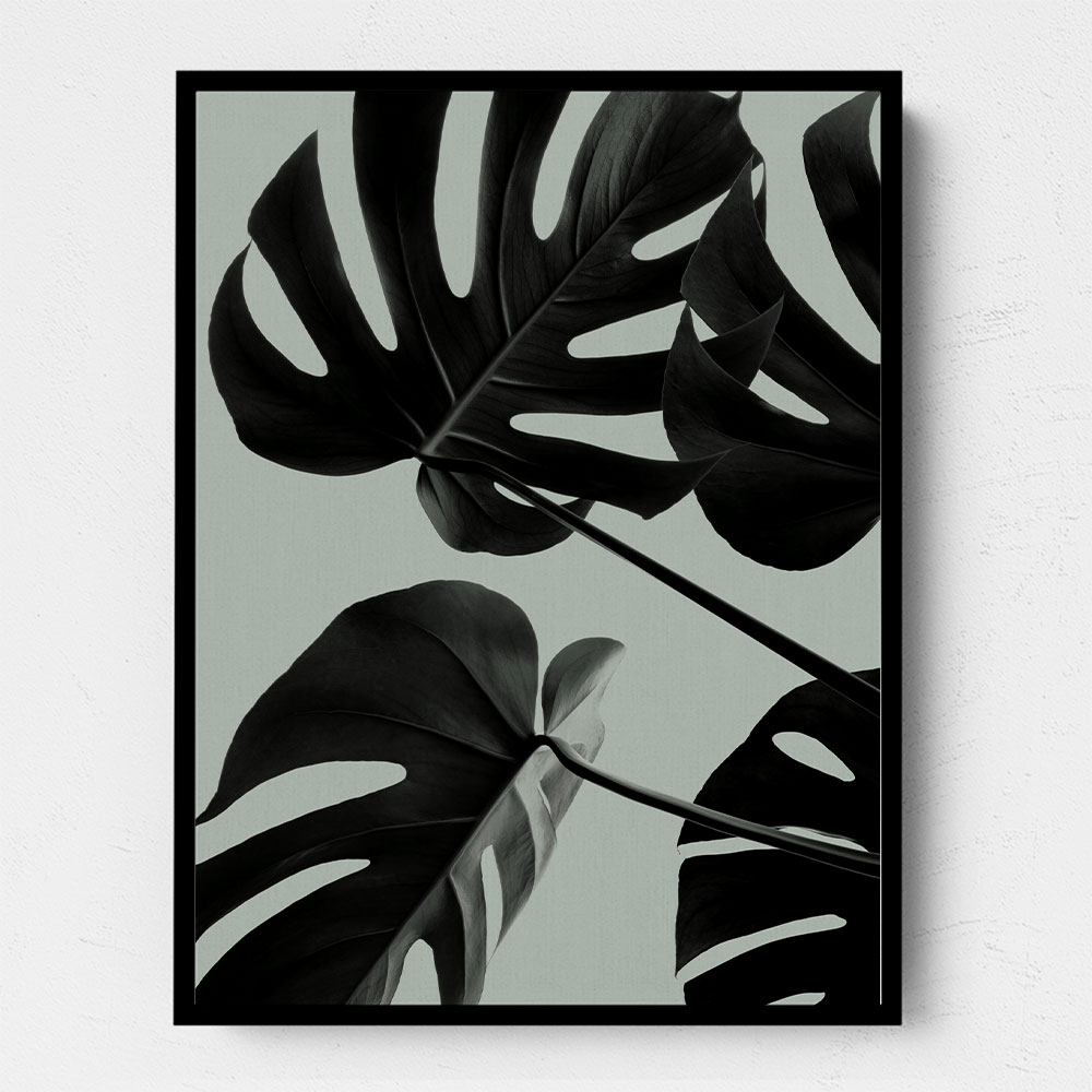 Monstera Teal 08